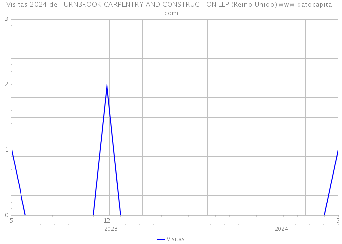 Visitas 2024 de TURNBROOK CARPENTRY AND CONSTRUCTION LLP (Reino Unido) 