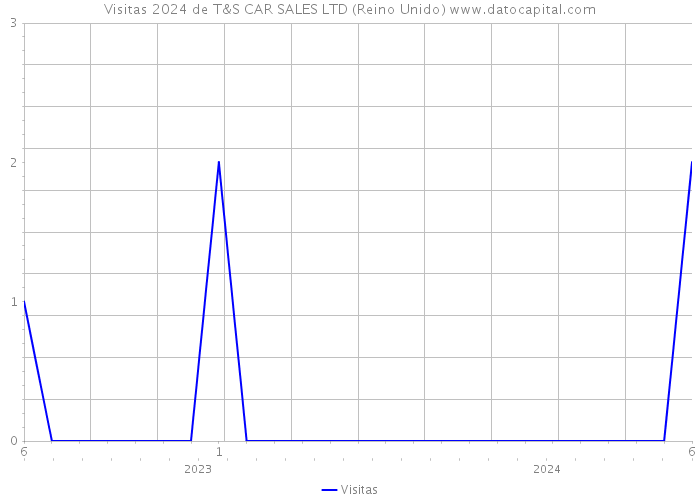 Visitas 2024 de T&S CAR SALES LTD (Reino Unido) 