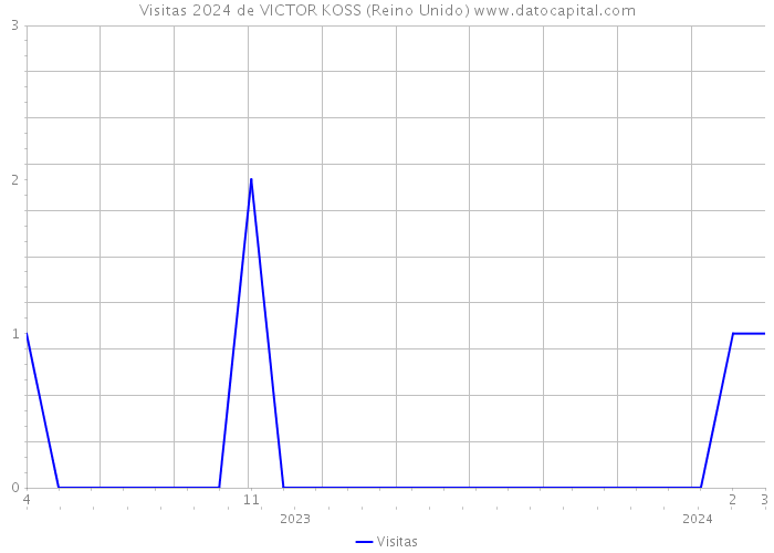 Visitas 2024 de VICTOR KOSS (Reino Unido) 