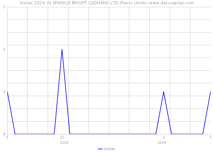 Visitas 2024 de SPARKLE BRIGHT CLEANING LTD (Reino Unido) 