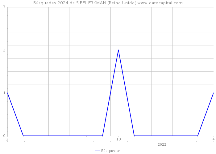 Búsquedas 2024 de SIBEL ERKMAN (Reino Unido) 