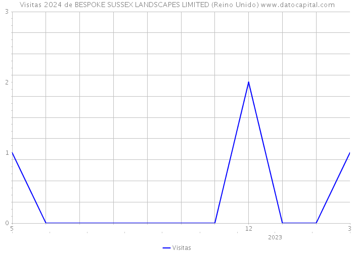 Visitas 2024 de BESPOKE SUSSEX LANDSCAPES LIMITED (Reino Unido) 