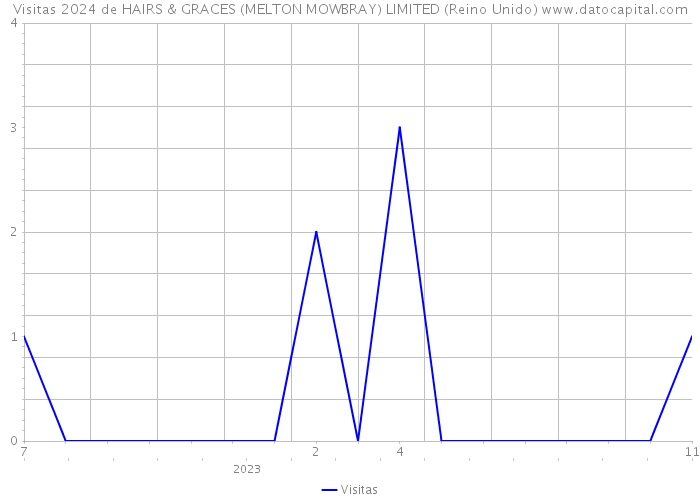 Visitas 2024 de HAIRS & GRACES (MELTON MOWBRAY) LIMITED (Reino Unido) 