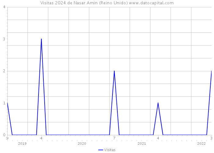 Visitas 2024 de Nasar Amin (Reino Unido) 