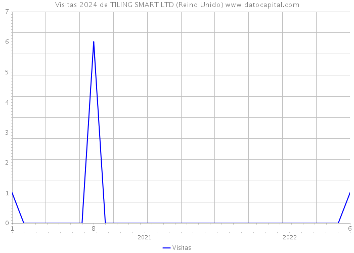 Visitas 2024 de TILING SMART LTD (Reino Unido) 