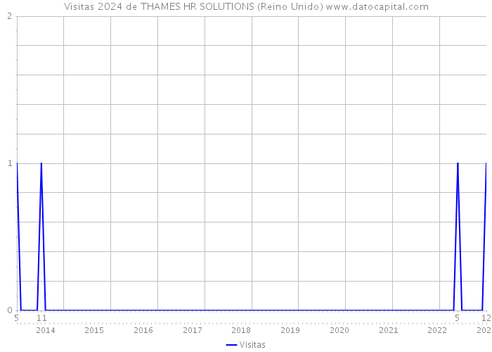 Visitas 2024 de THAMES HR SOLUTIONS (Reino Unido) 