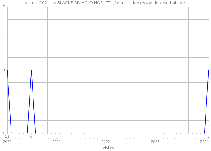 Visitas 2024 de BLACKBIRD HOLDINGS LTD (Reino Unido) 