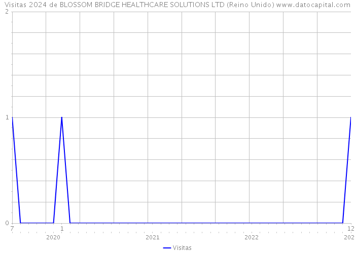 Visitas 2024 de BLOSSOM BRIDGE HEALTHCARE SOLUTIONS LTD (Reino Unido) 