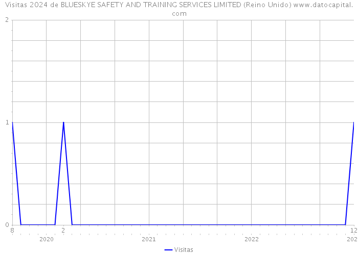 Visitas 2024 de BLUESKYE SAFETY AND TRAINING SERVICES LIMITED (Reino Unido) 