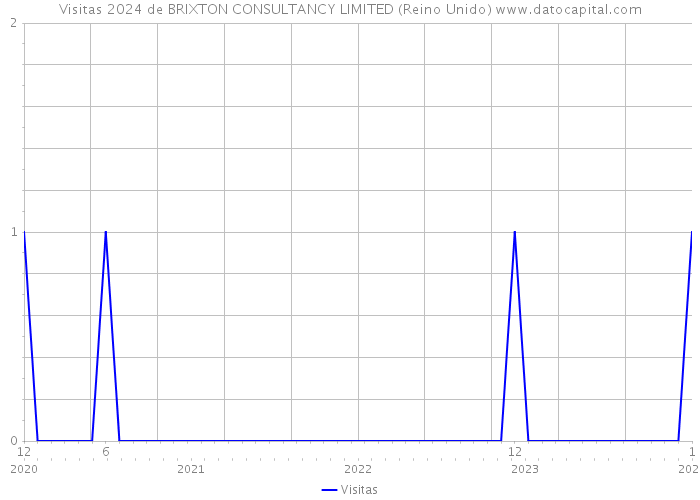 Visitas 2024 de BRIXTON CONSULTANCY LIMITED (Reino Unido) 