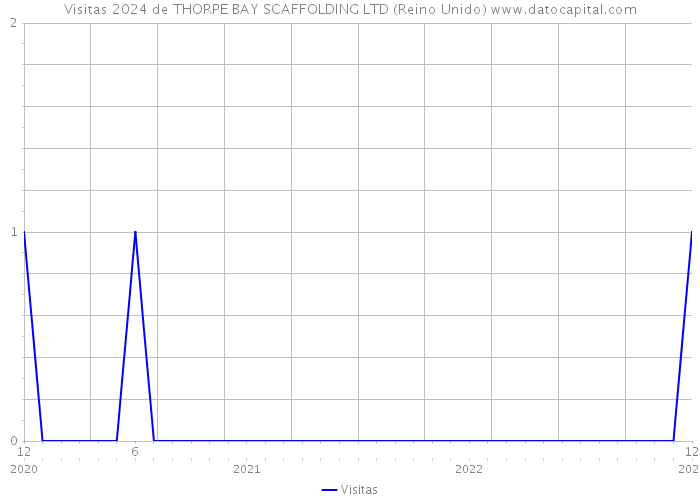 Visitas 2024 de THORPE BAY SCAFFOLDING LTD (Reino Unido) 