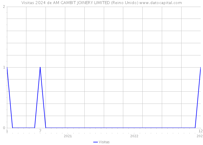 Visitas 2024 de AM GAMBIT JOINERY LIMITED (Reino Unido) 