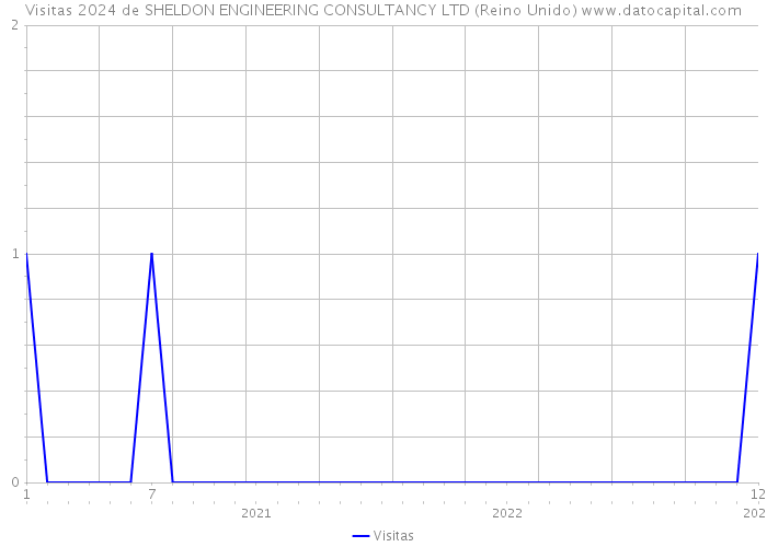 Visitas 2024 de SHELDON ENGINEERING CONSULTANCY LTD (Reino Unido) 