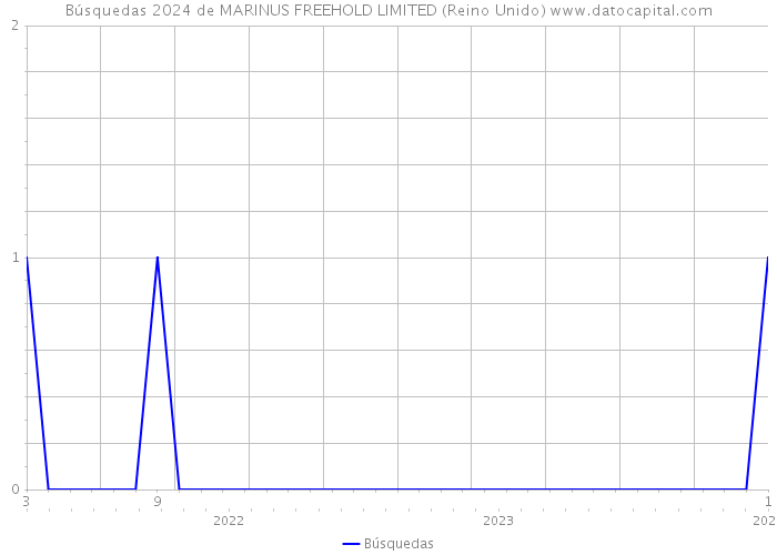 Búsquedas 2024 de MARINUS FREEHOLD LIMITED (Reino Unido) 