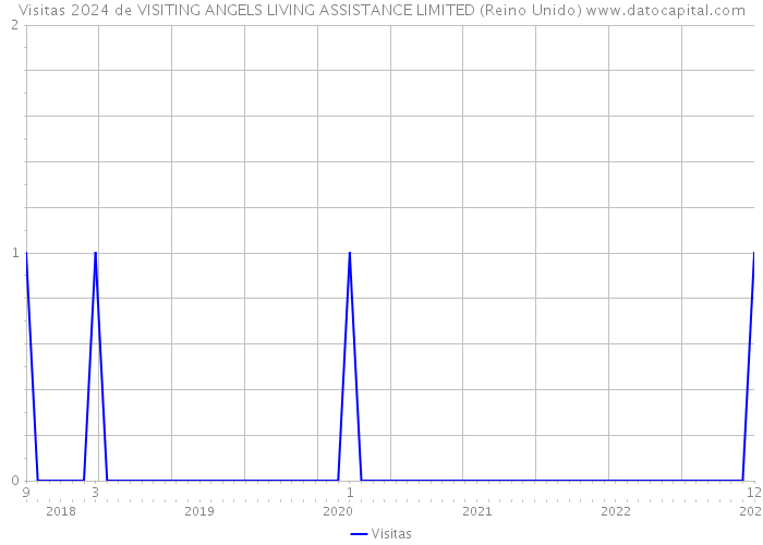 Visitas 2024 de VISITING ANGELS LIVING ASSISTANCE LIMITED (Reino Unido) 