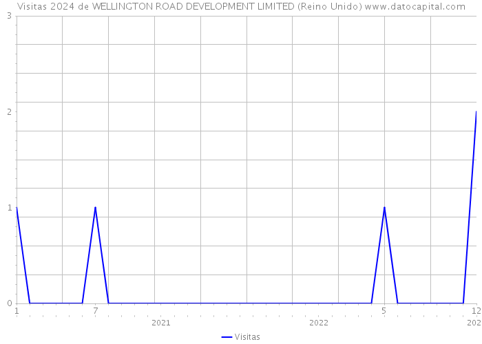 Visitas 2024 de WELLINGTON ROAD DEVELOPMENT LIMITED (Reino Unido) 