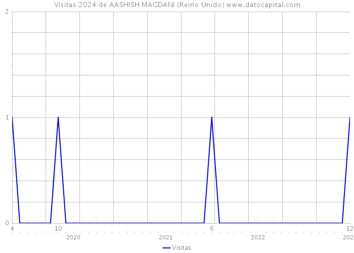 Visitas 2024 de AASHISH MAGDANI (Reino Unido) 