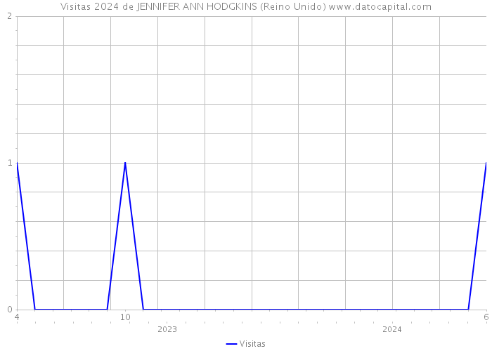 Visitas 2024 de JENNIFER ANN HODGKINS (Reino Unido) 