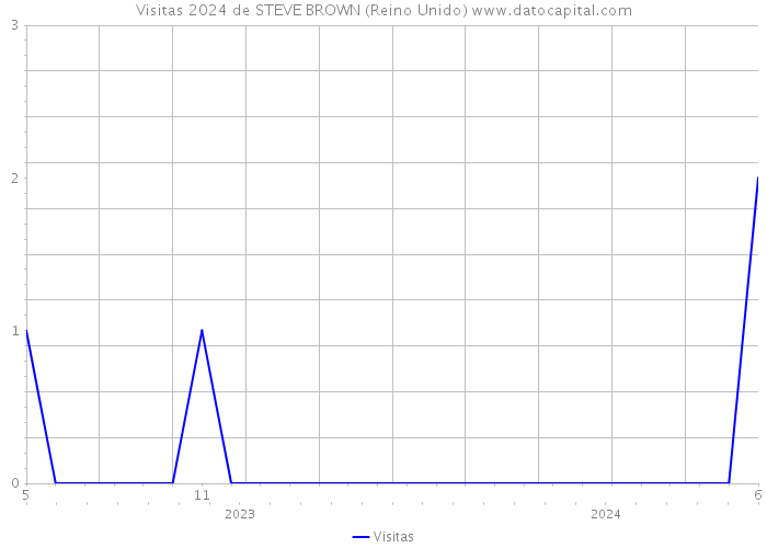 Visitas 2024 de STEVE BROWN (Reino Unido) 