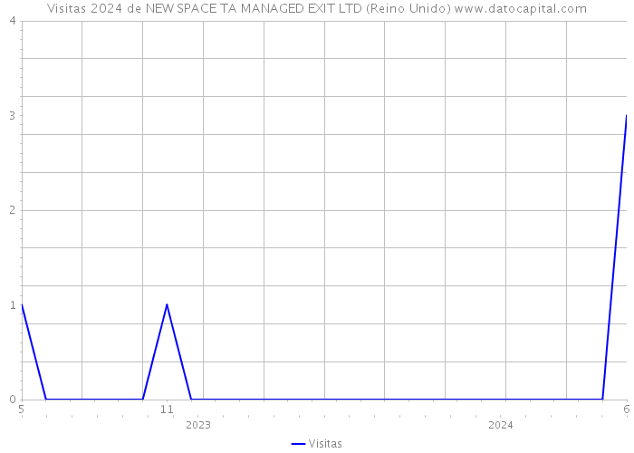 Visitas 2024 de NEW SPACE TA MANAGED EXIT LTD (Reino Unido) 