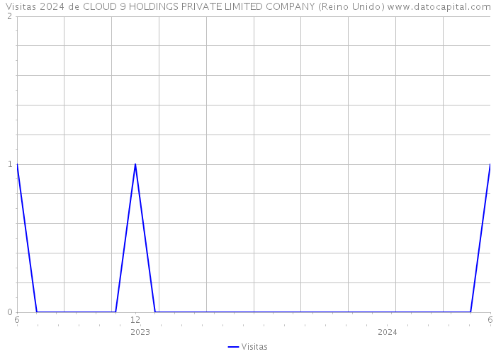 Visitas 2024 de CLOUD 9 HOLDINGS PRIVATE LIMITED COMPANY (Reino Unido) 