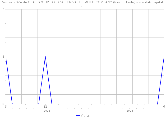 Visitas 2024 de OPAL GROUP HOLDINGS PRIVATE LIMITED COMPANY (Reino Unido) 