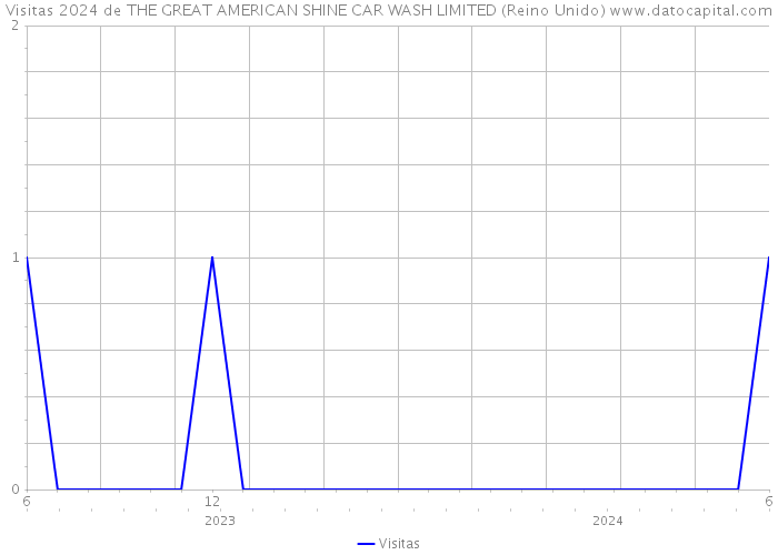Visitas 2024 de THE GREAT AMERICAN SHINE CAR WASH LIMITED (Reino Unido) 