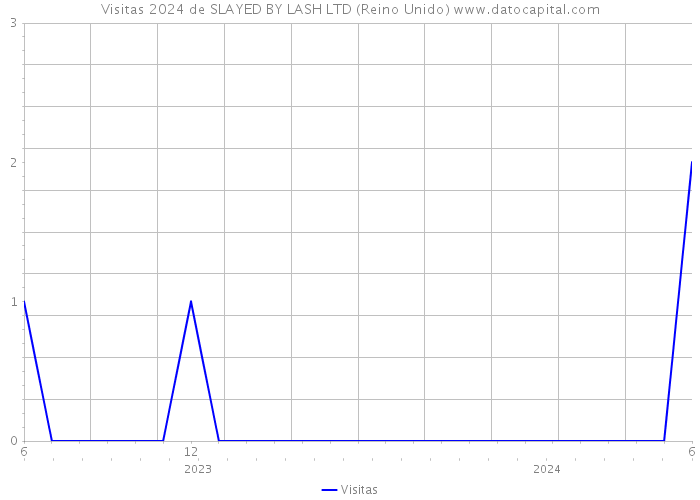 Visitas 2024 de SLAYED BY LASH LTD (Reino Unido) 