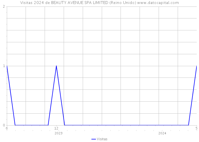 Visitas 2024 de BEAUTY AVENUE SPA LIMITED (Reino Unido) 