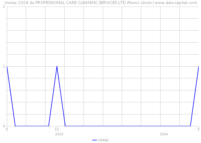 Visitas 2024 de PROFESSIONAL CARE CLEANING SERVICES LTD (Reino Unido) 