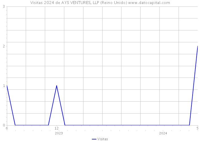 Visitas 2024 de AYS VENTURES, LLP (Reino Unido) 