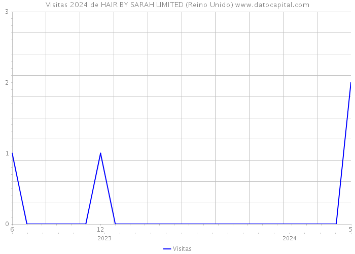 Visitas 2024 de HAIR BY SARAH LIMITED (Reino Unido) 