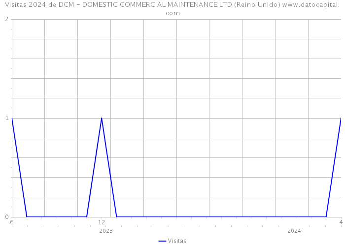 Visitas 2024 de DCM - DOMESTIC COMMERCIAL MAINTENANCE LTD (Reino Unido) 