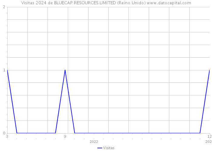 Visitas 2024 de BLUECAP RESOURCES LIMITED (Reino Unido) 