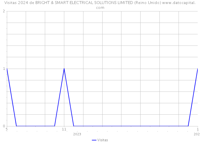 Visitas 2024 de BRIGHT & SMART ELECTRICAL SOLUTIONS LIMITED (Reino Unido) 