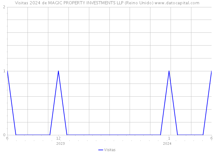 Visitas 2024 de MAGIC PROPERTY INVESTMENTS LLP (Reino Unido) 