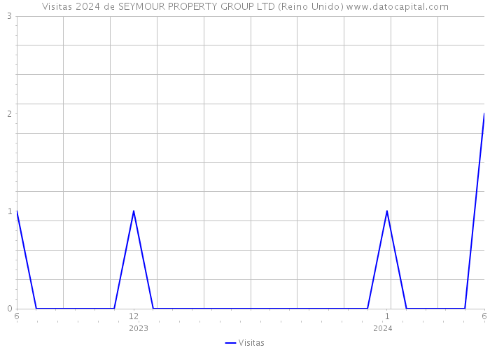 Visitas 2024 de SEYMOUR PROPERTY GROUP LTD (Reino Unido) 