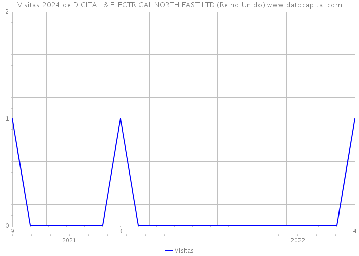 Visitas 2024 de DIGITAL & ELECTRICAL NORTH EAST LTD (Reino Unido) 