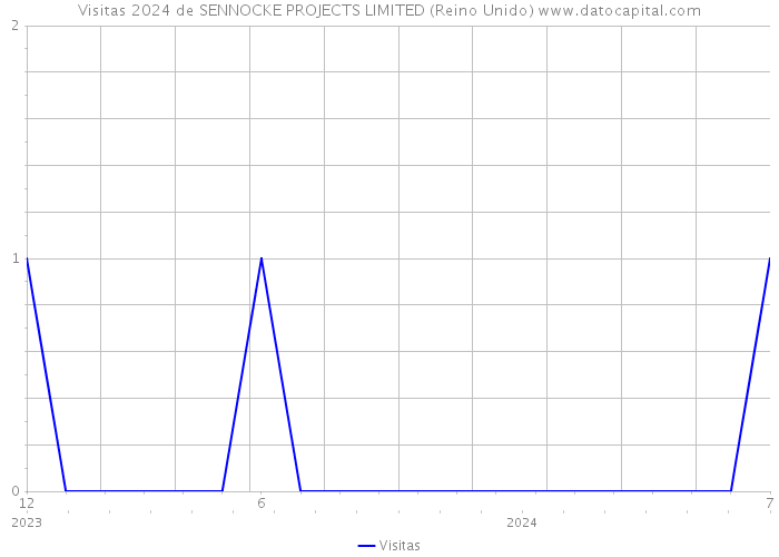 Visitas 2024 de SENNOCKE PROJECTS LIMITED (Reino Unido) 