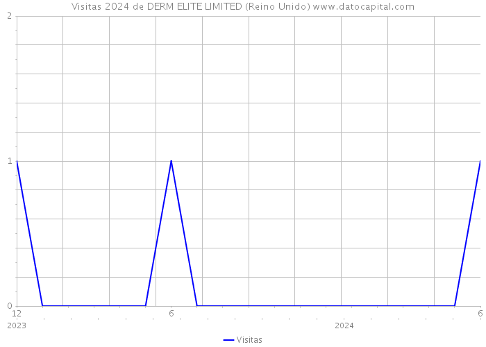 Visitas 2024 de DERM ELITE LIMITED (Reino Unido) 