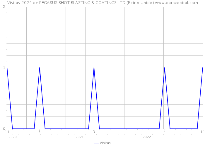 Visitas 2024 de PEGASUS SHOT BLASTING & COATINGS LTD (Reino Unido) 