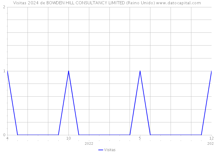 Visitas 2024 de BOWDEN HILL CONSULTANCY LIMITED (Reino Unido) 