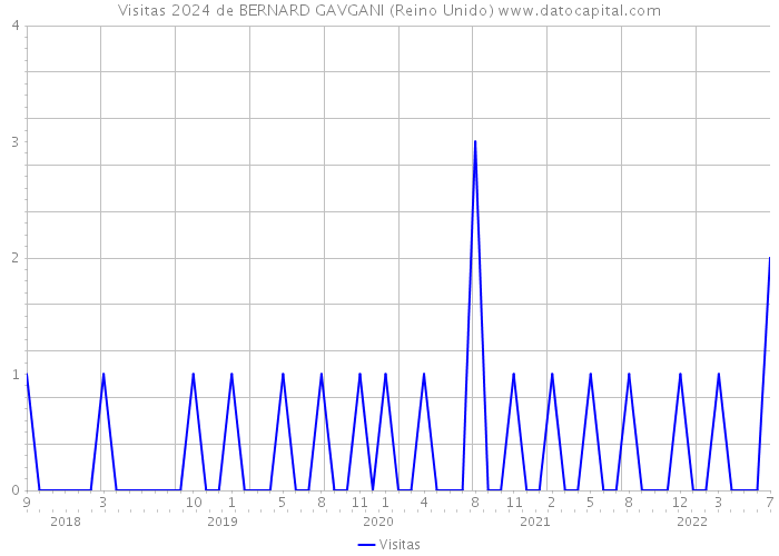 Visitas 2024 de BERNARD GAVGANI (Reino Unido) 