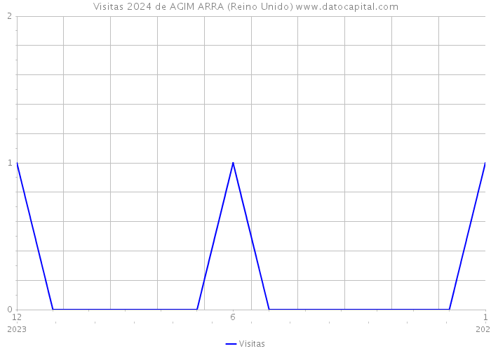 Visitas 2024 de AGIM ARRA (Reino Unido) 