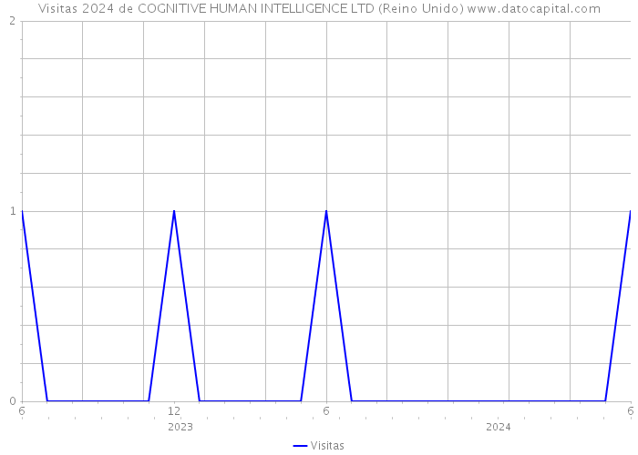 Visitas 2024 de COGNITIVE HUMAN INTELLIGENCE LTD (Reino Unido) 