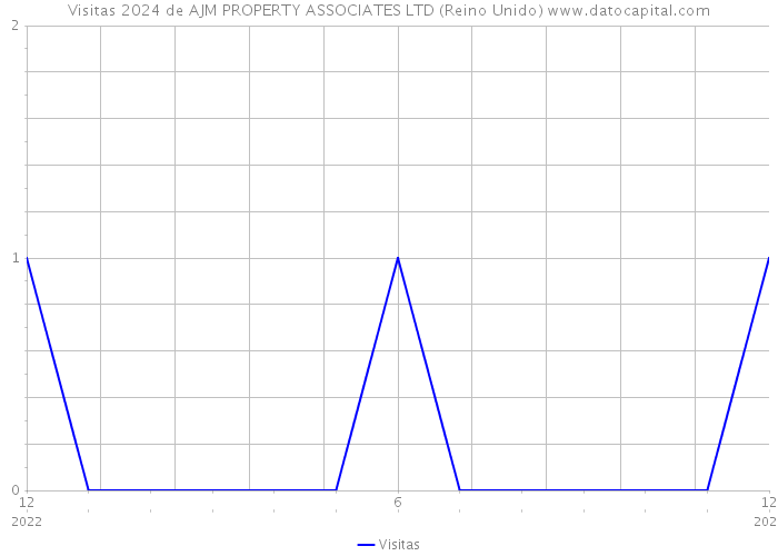 Visitas 2024 de AJM PROPERTY ASSOCIATES LTD (Reino Unido) 