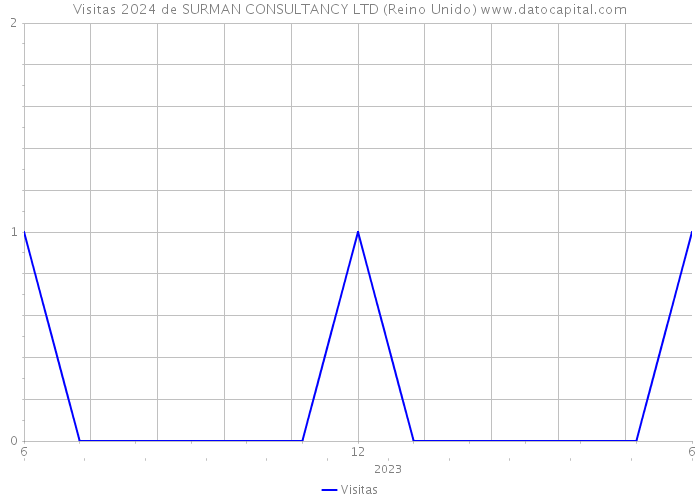 Visitas 2024 de SURMAN CONSULTANCY LTD (Reino Unido) 