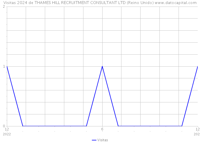 Visitas 2024 de THAMES HILL RECRUITMENT CONSULTANT LTD (Reino Unido) 