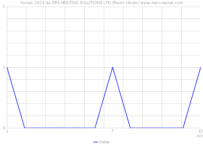 Visitas 2024 de DRS HEATING SOLUTIONS LTD (Reino Unido) 