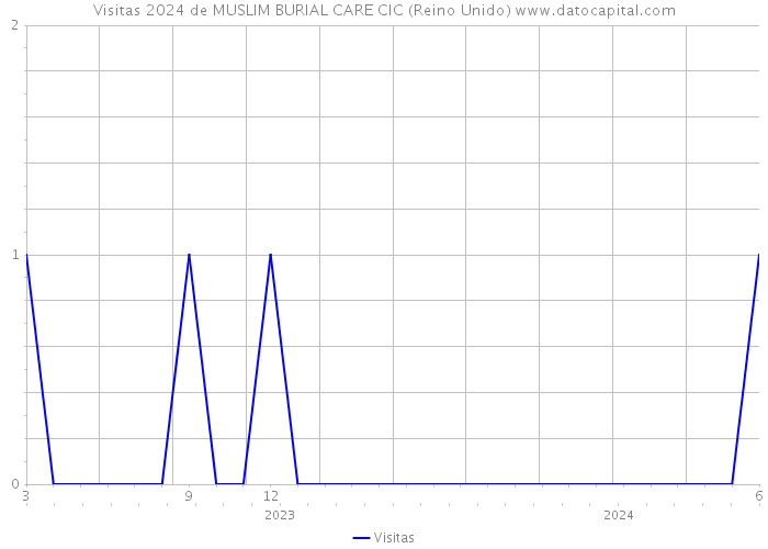 Visitas 2024 de MUSLIM BURIAL CARE CIC (Reino Unido) 